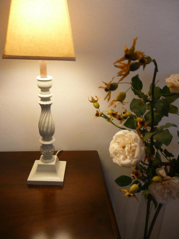 Certe Notti Bed and Breakfast Pisa Exteriör bild
